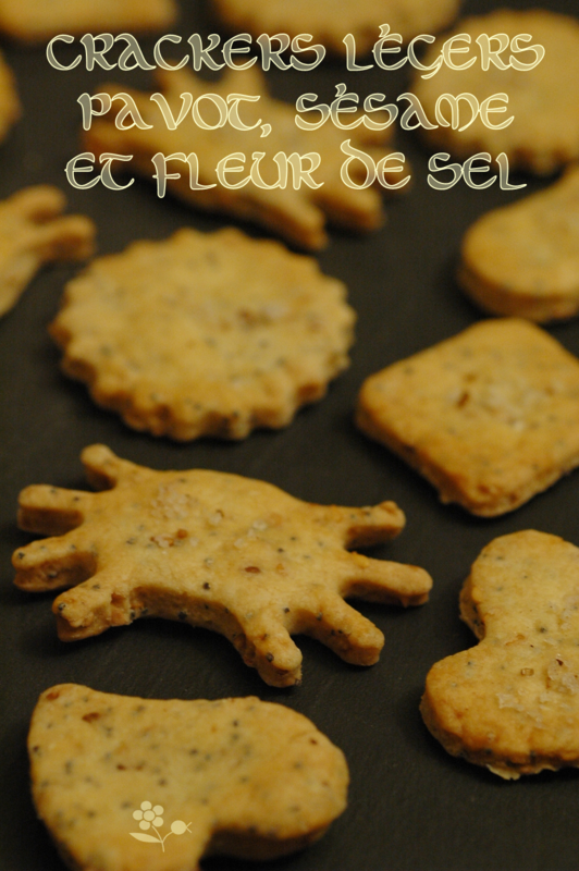 Crackers légers pavot, sésame et fleur de sel aux épices