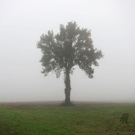 brouillard_a