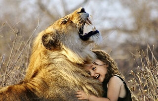 Jung-anim-sauv-Le lion et l'enfant
