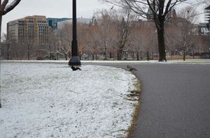 20111206_10_36_40_Ottawa