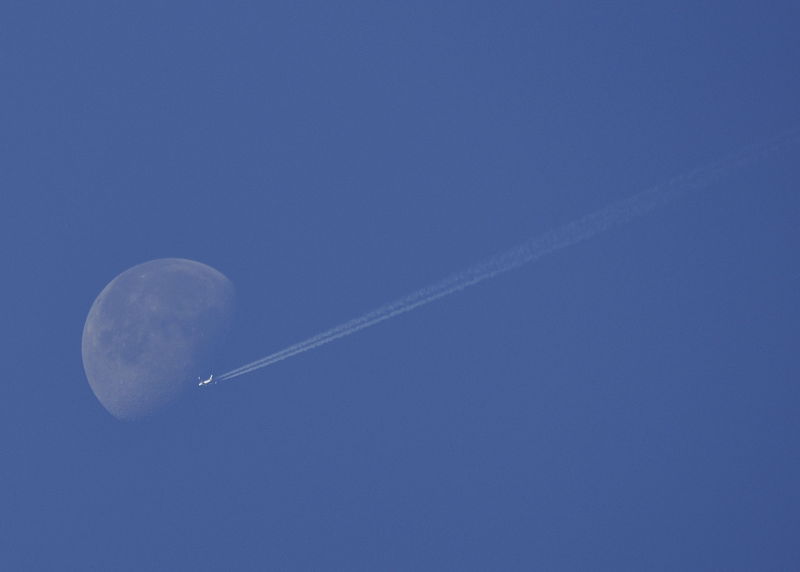 _DSC0447_Fly_me_to_the_moon