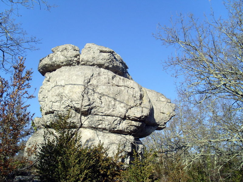 p48