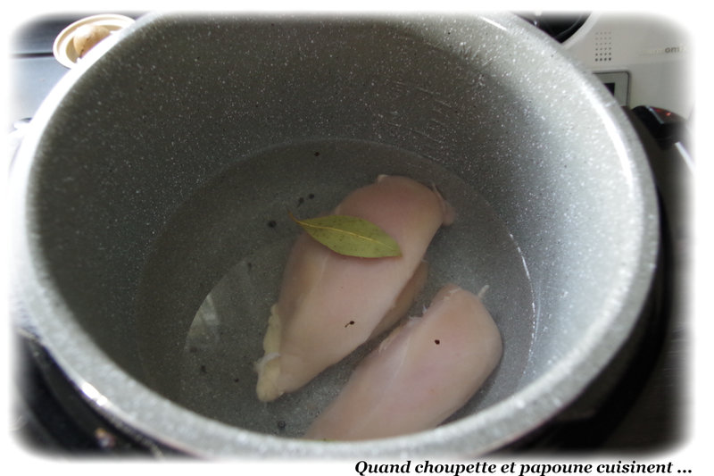 filet de poulet fondue d'endives-9680