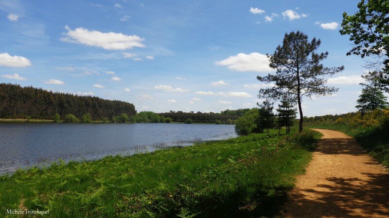 Lac d'Agès 29041647