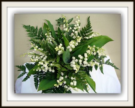 muguet 4