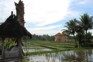 Ubud - Countryside (6)