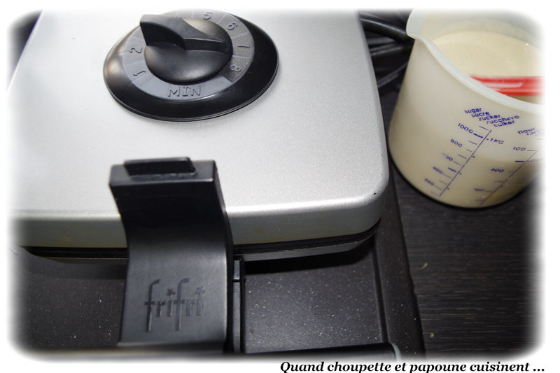 pâte à gaufres au TM-9754