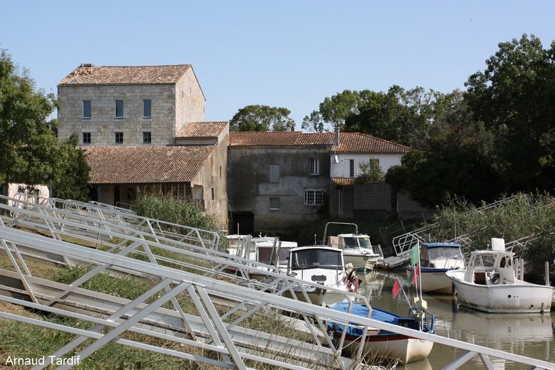 001533 Estuaire de la Gironde - Rive Droite - Le Port des Monards à Barzan