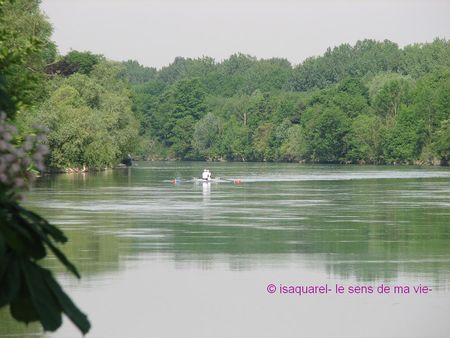 Noisy_bords_de_Marne_i