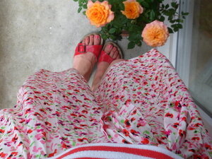 tenue_clafoutis_tomates_011