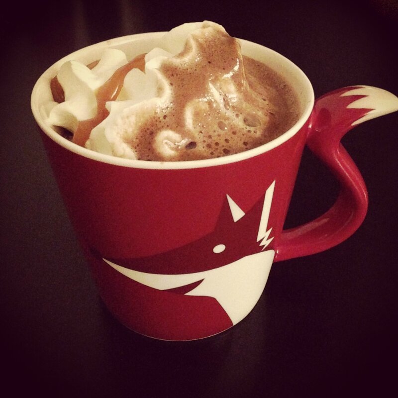 Chocolat viennois caramel salé renard 2