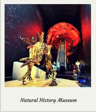 Natural History Museum©Kid Friendly