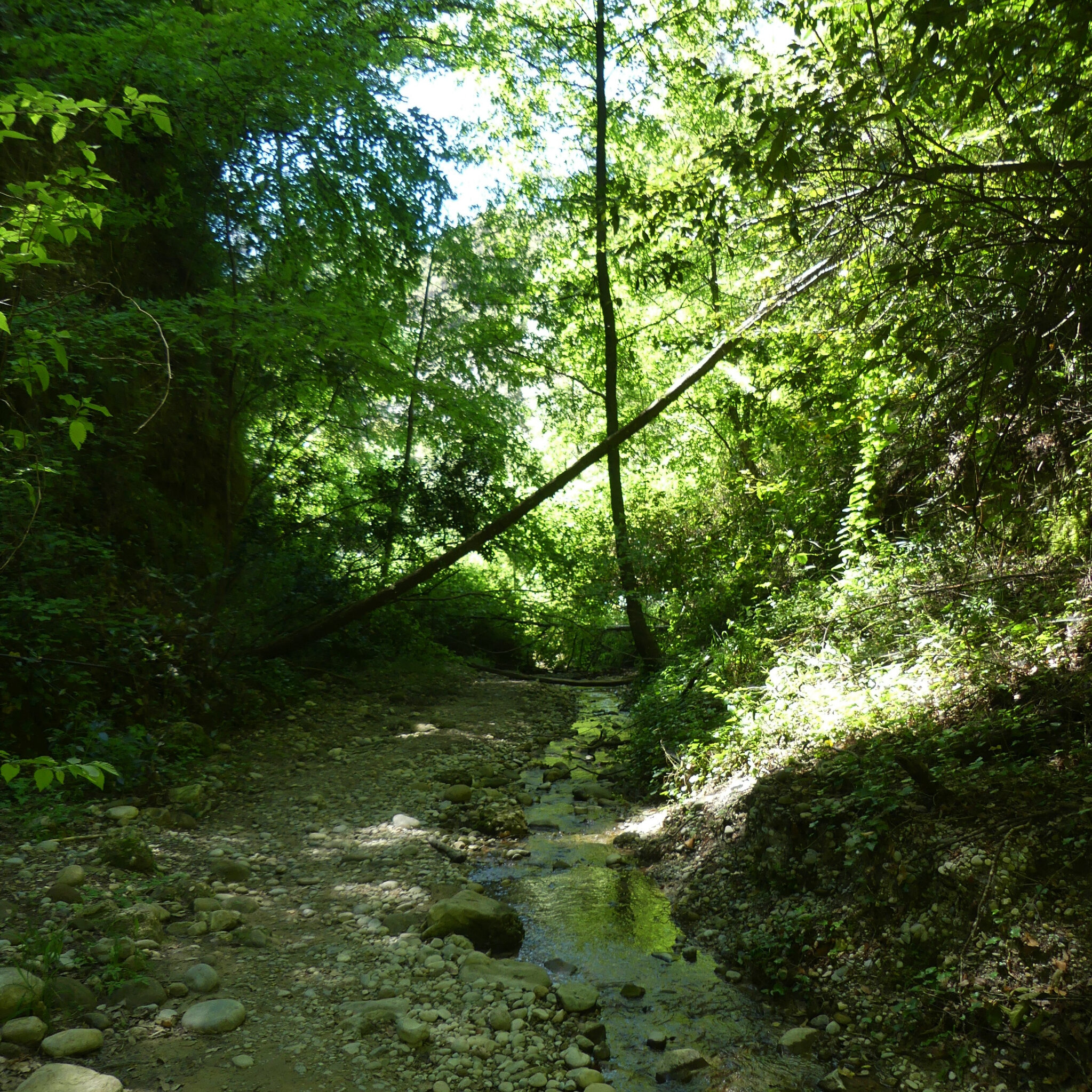 P1120689 (2)