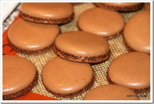 IMG_8352 IMG_8352