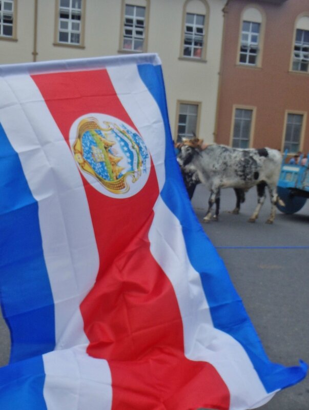 CR 1 San Jose styl 2015 13 procession boeufs drapeau