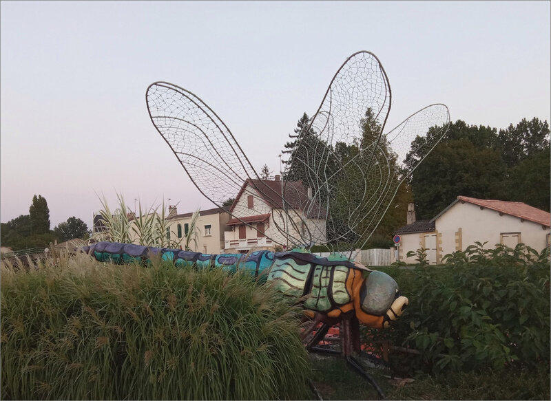 Libellule Coulon 082019