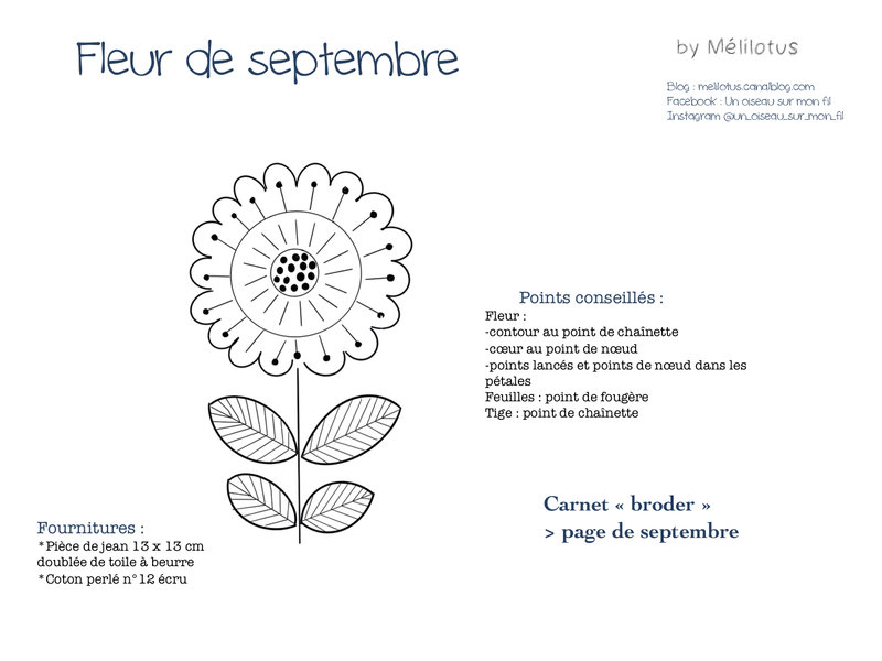 Fleur Septembre