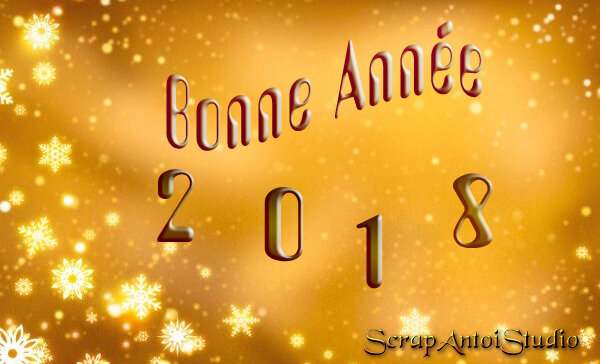 Bonne année 2018 signé