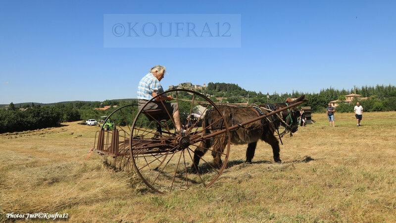 Photos JMP©Koufra 12 - Le Caylar - Fenaison - 13072019 - 1233