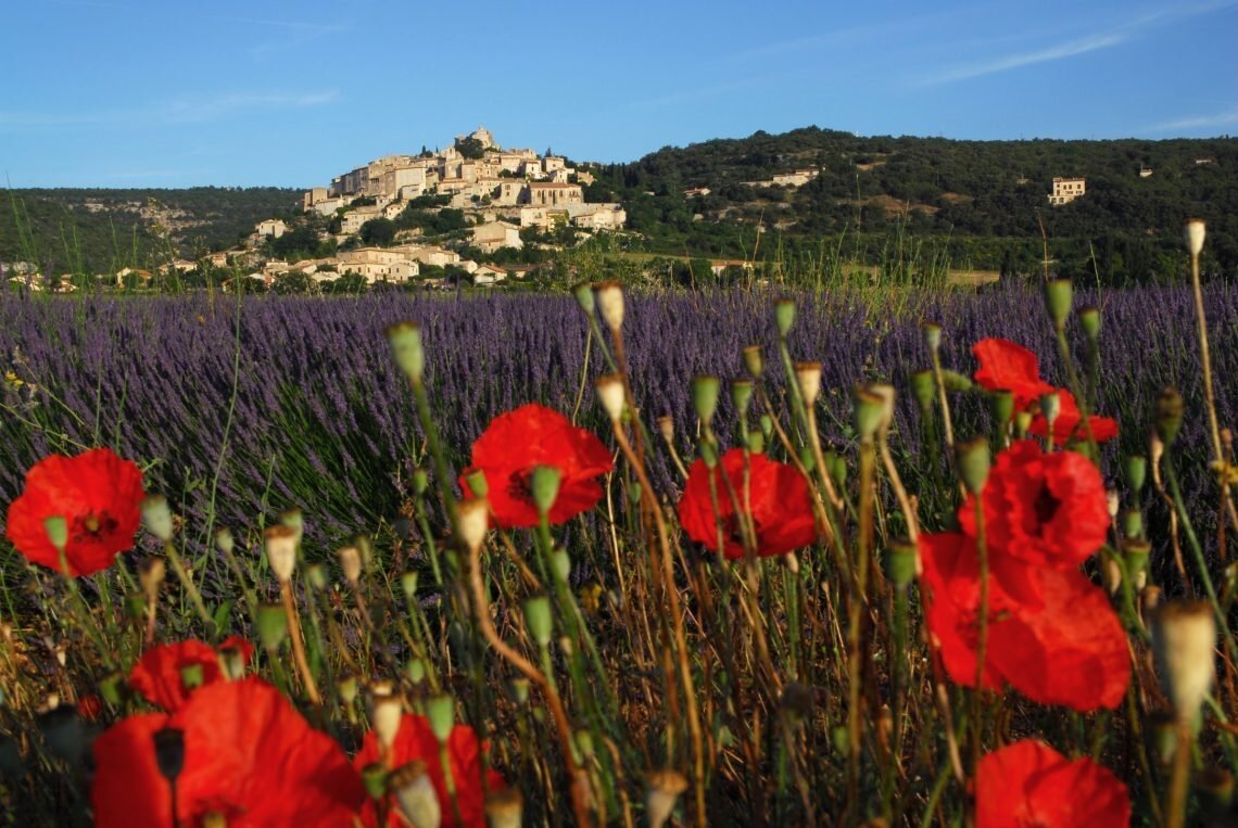 Simiane (04) lavande et coquelicots-1140x763