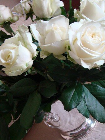 roses_003