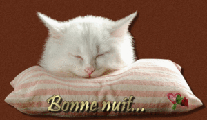 bonne_nuit_chat_coussin