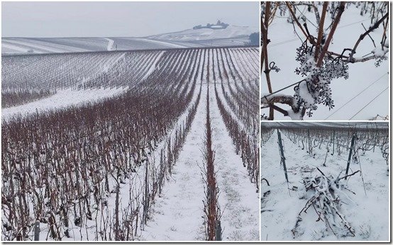 neige le 18 janvier 20242