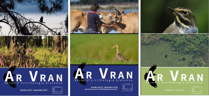 Ar Vran 2023