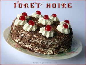 forêt noire (38)