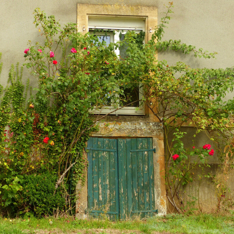 a FENETRES PORTES FLEURIES20