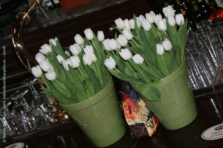 resto_tulipes