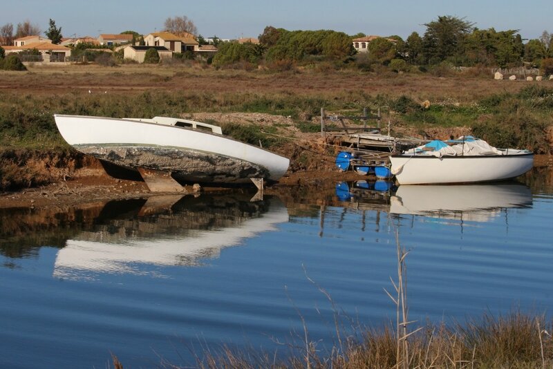 IMG_6955 - Copie