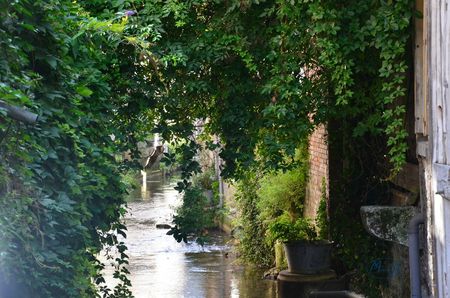 Pont-Audemer-Aout 2013