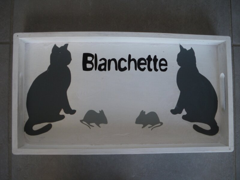 plateau repas pour chat !