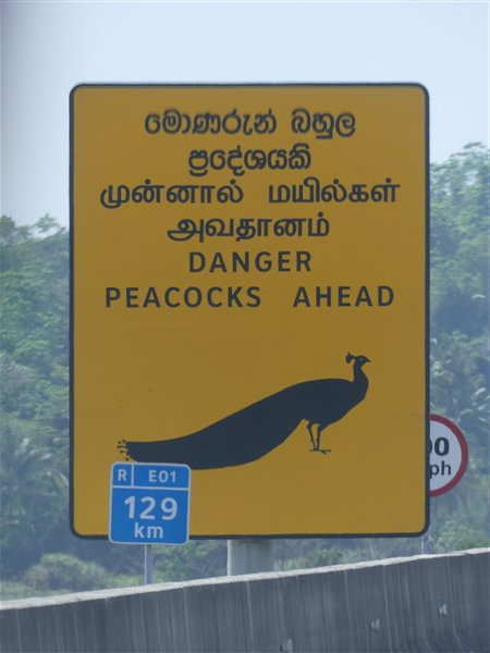 P1270683