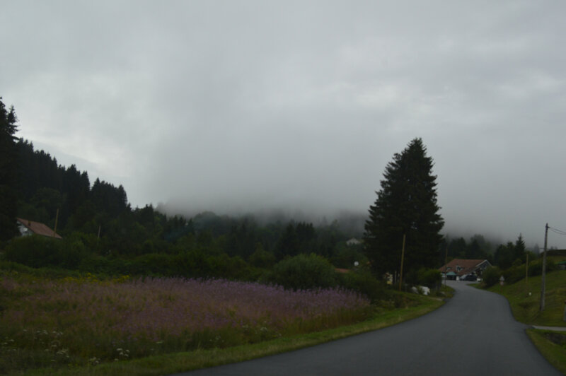 _DSC0060