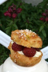 Profiteroles fruitées au pandan et au chocolat blanc recettes dessert Profiteroles au chocolat