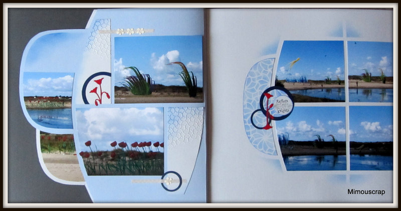 2019 Porti 043 cerfs-volants