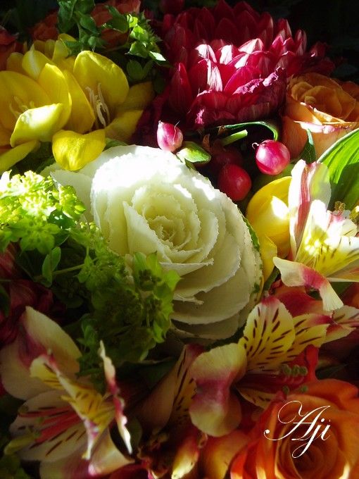 fleurs d'octobre