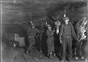 300px-Child_coal_miners_(1908)