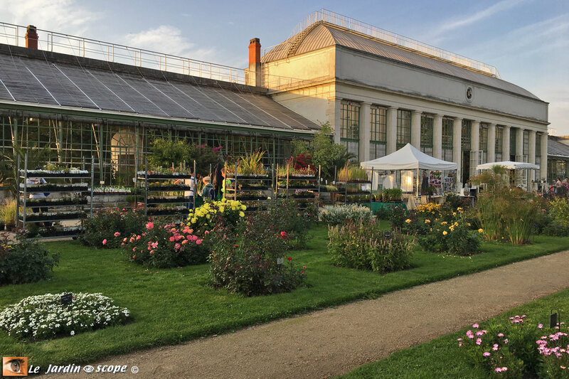 O-Jardin-des-plantes-6