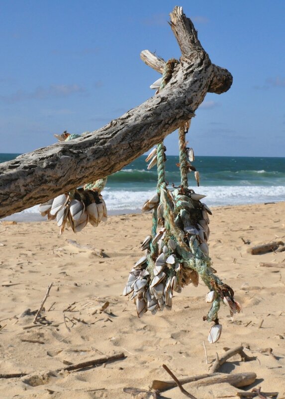 capbreton