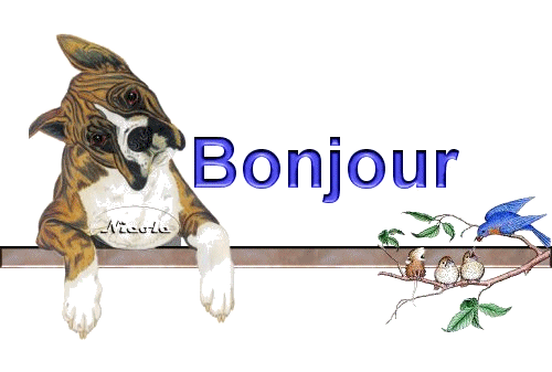 chien_bonjour