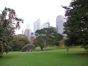 2013-06-19 Sydney (50) Jardin botanique