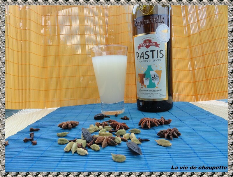 focus pastis-9481