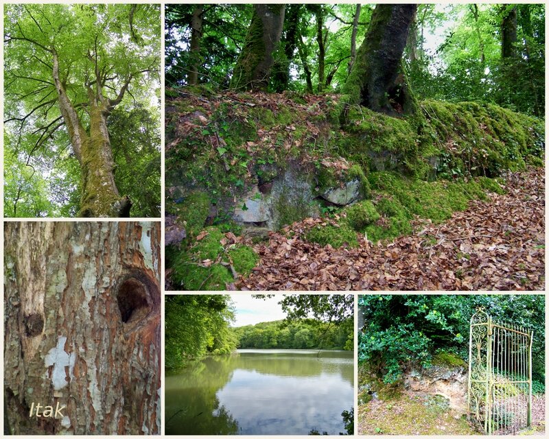 24 Mai 2015 Marais Trestel -Trévou BoisRiou-006