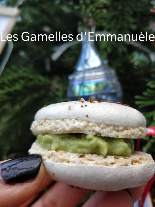 macaronsguacamolepetitspoisthumbnail_IMG_20201224_131015__01