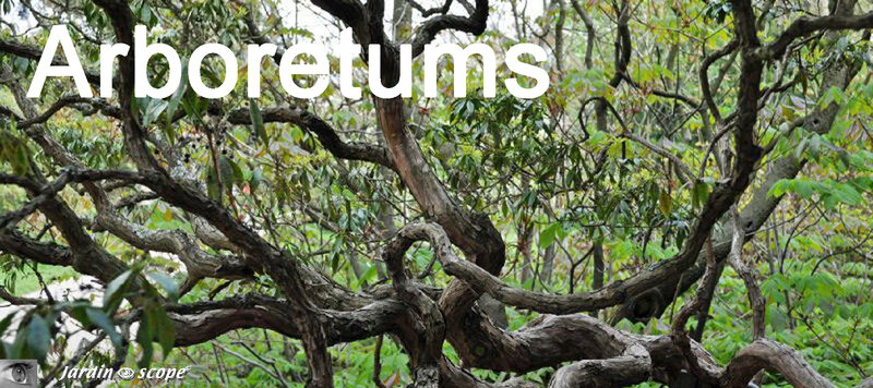 Arboretums