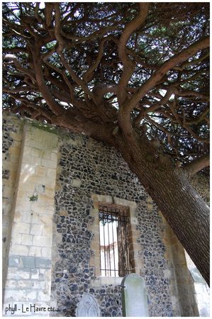 20Mai2009_Abbaye_de_Graville_051