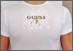 guess_h_by_marciano_2